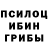 Псилоцибиновые грибы прущие грибы Simon_Fox