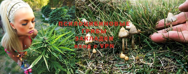 гидропоника Михайловка